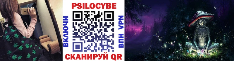 Купить закладки  Ак-Довурак  Псилоцибиновые грибы GOLDEN TEACHER 