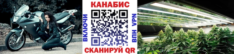 Купить закладки  Ак-Довурак  Бошки марихуана сатива 